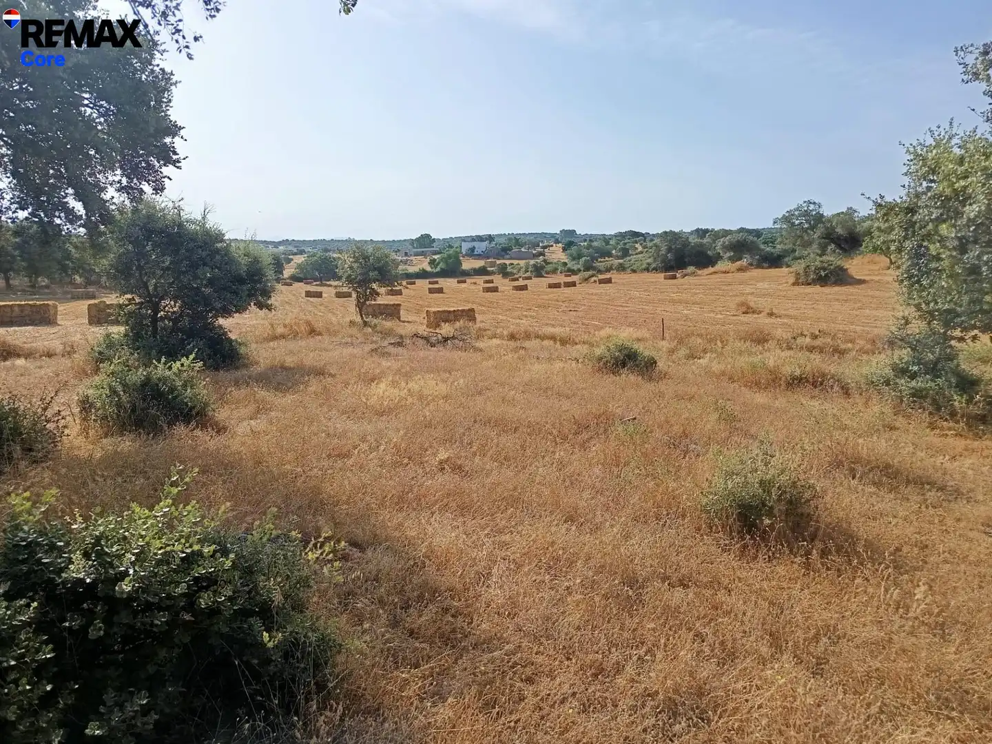 Terreni e lotti in vendita a Alburquerque, imagen 13