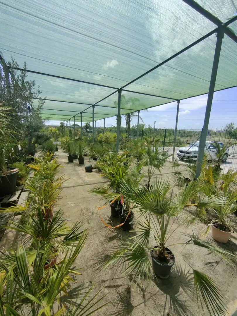 Garden of Residential for sale in Esparreguera
