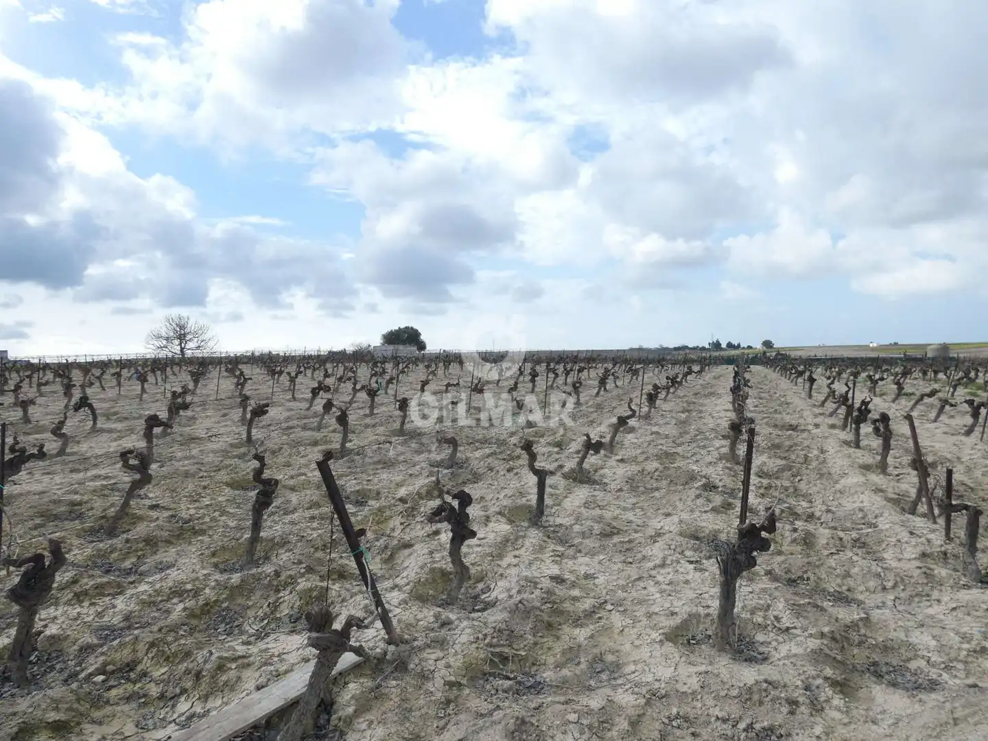 Rustikales Grundstück zum Verkauf in Ctra Jerez - Ctra del Puerto, imagen 9