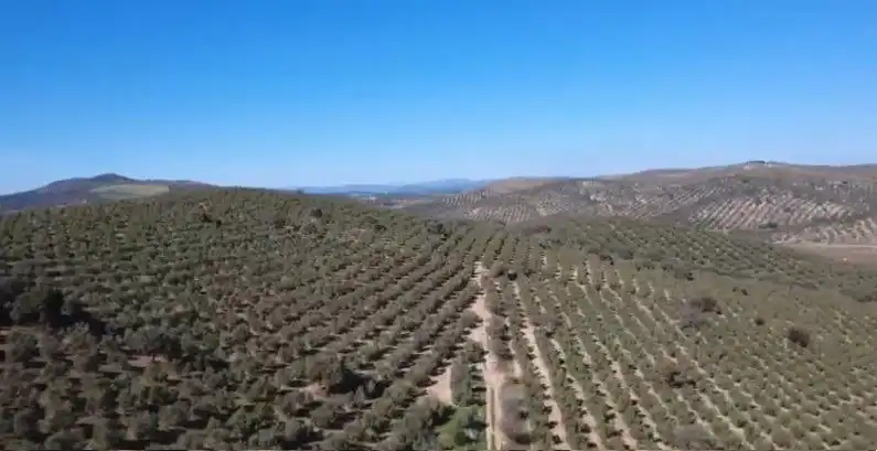 Residencial en venta en Antequera