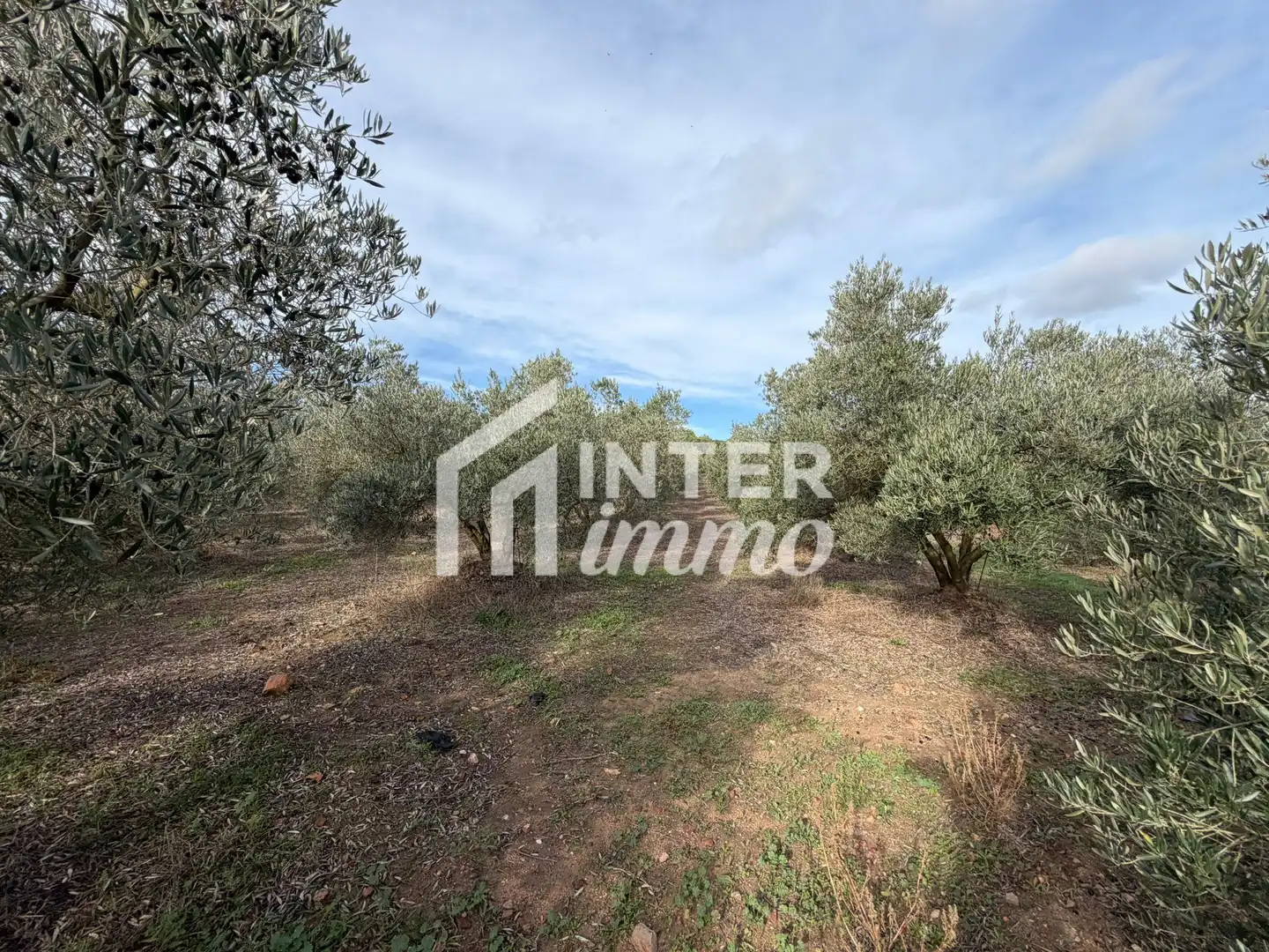 Terreno residencial en venta en Camino TORRE DEL VIENTO s/n, imagen 16