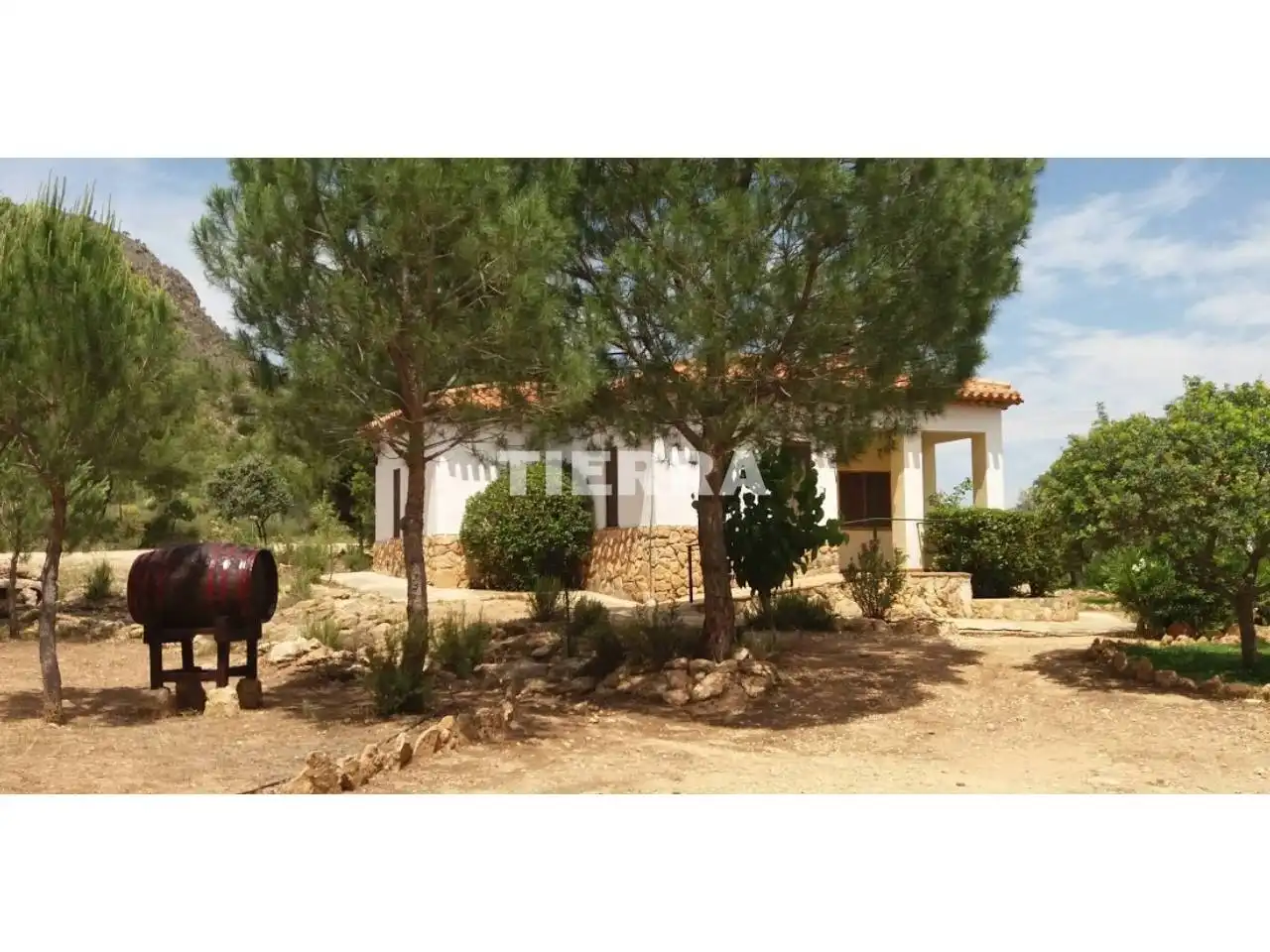 Buildings for sale in Socovos