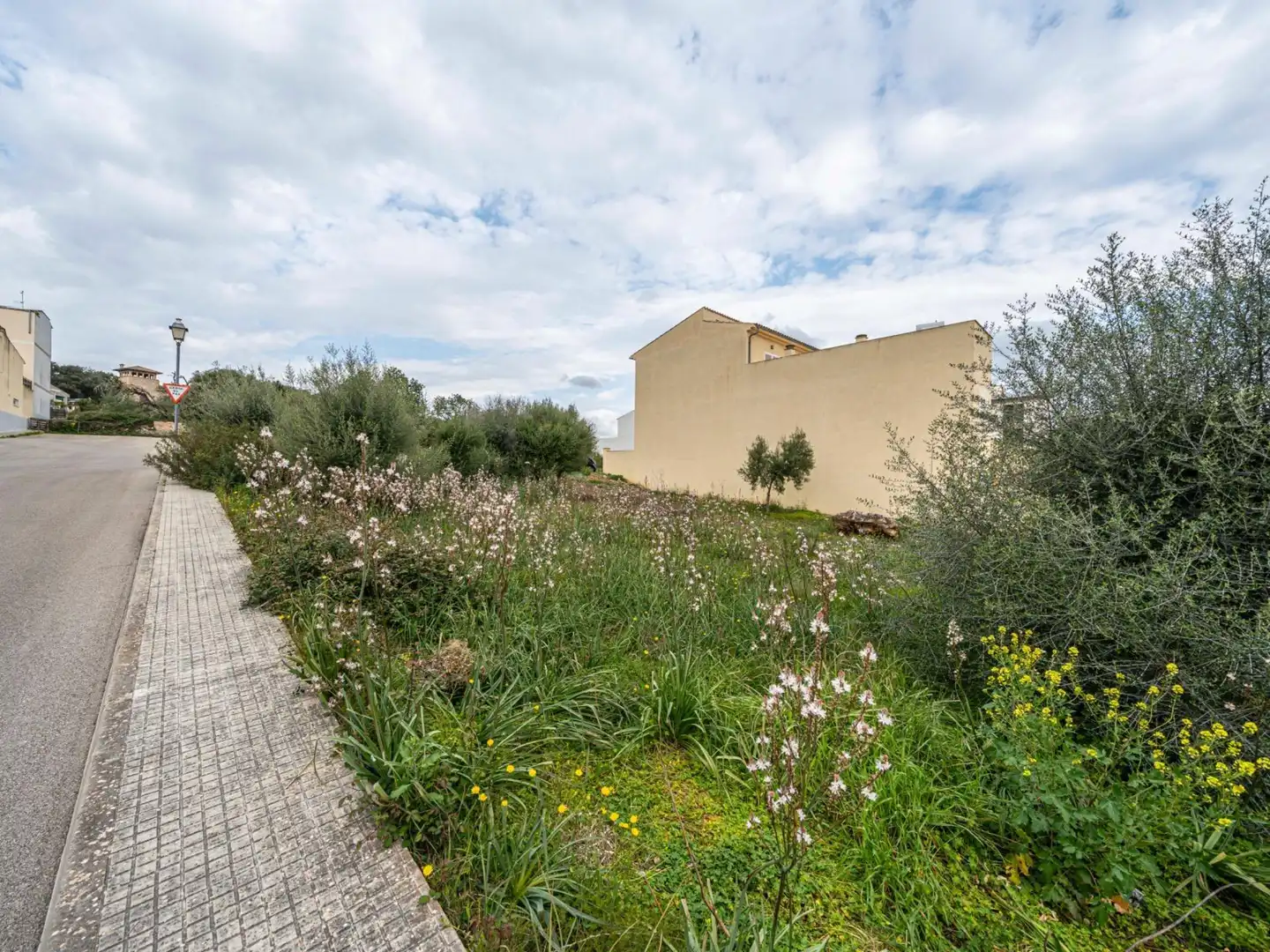 Rural land for sale in Sant Llorenç des Cardassar, imagen 3