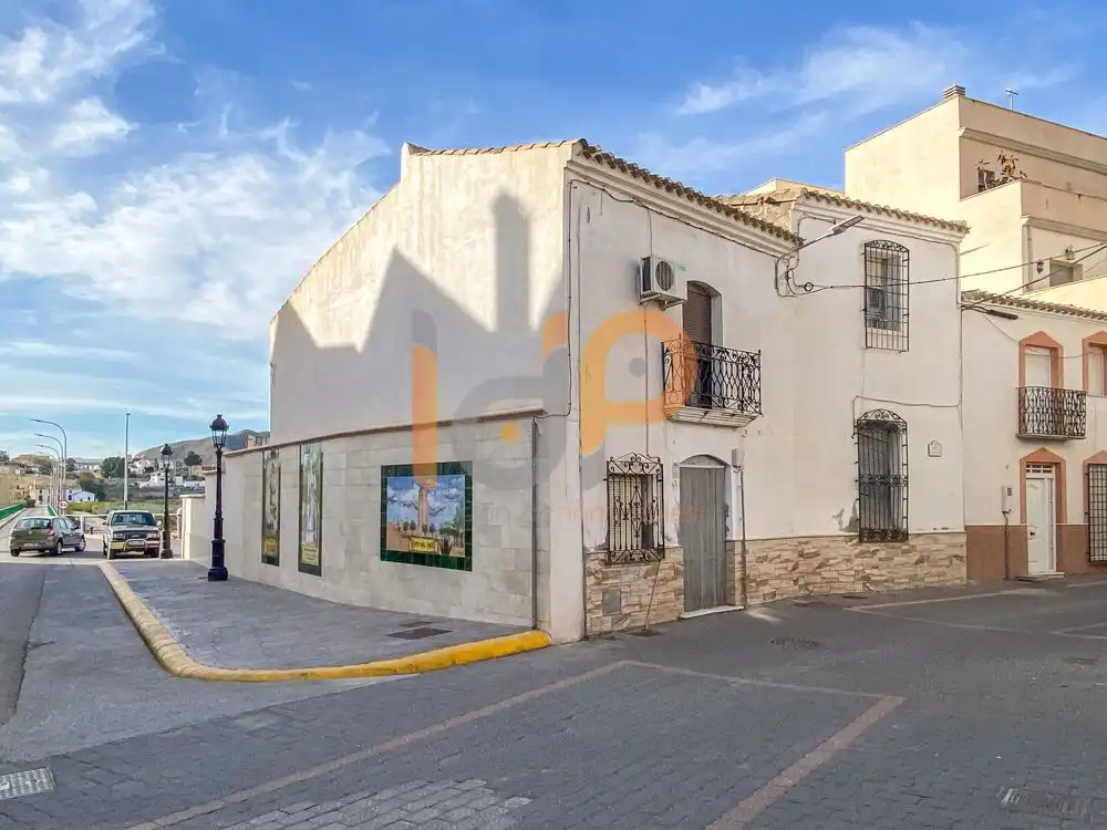 Vista exterior de Casa o chalet en venta en Arboleas con Terraza, Trastero y Balcón