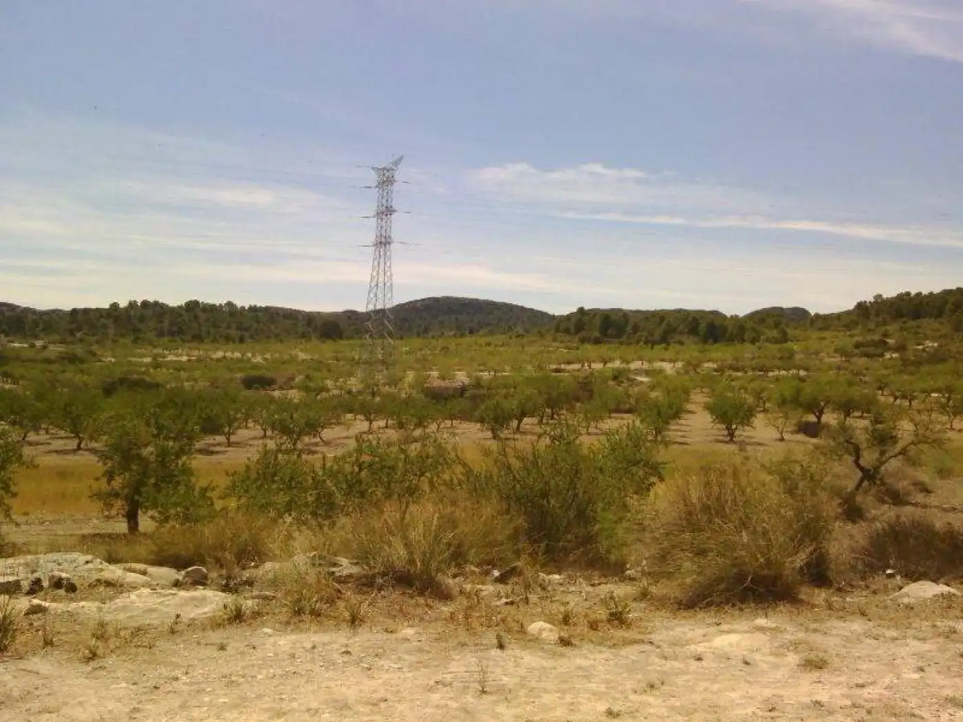 Terreny rústic en venda a Moratalla, imagen 10