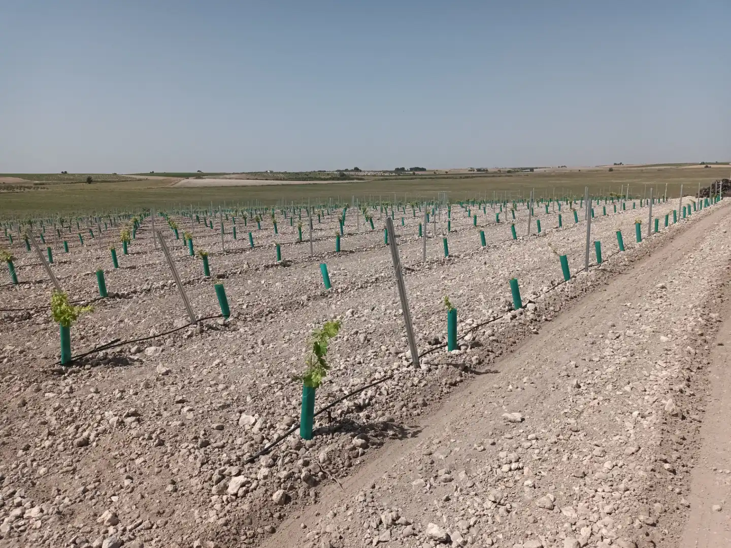 Terreno rustico in vendita a Villarrubia de los Ojos, imagen 6