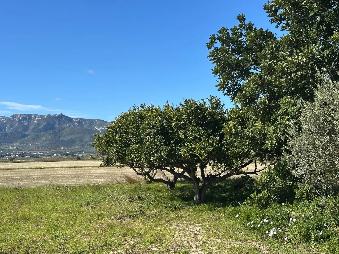 Casa o chalet en venta en La Ràpita