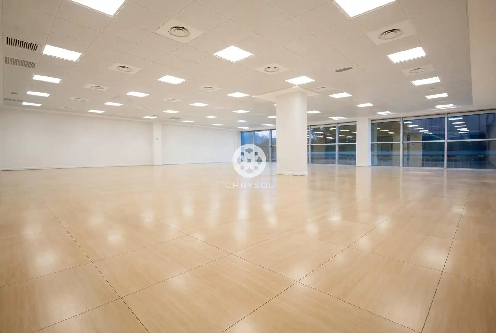 Office space with lift for sale in Avenida Avinguda Corts Catalanes