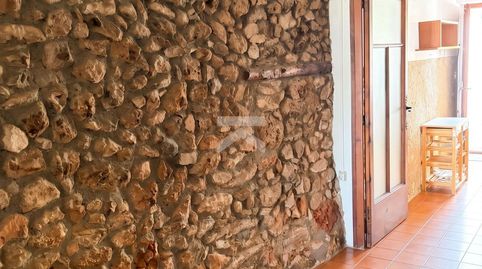 Foto 2 de Finca rústica en venda a Montferri, Tarragona