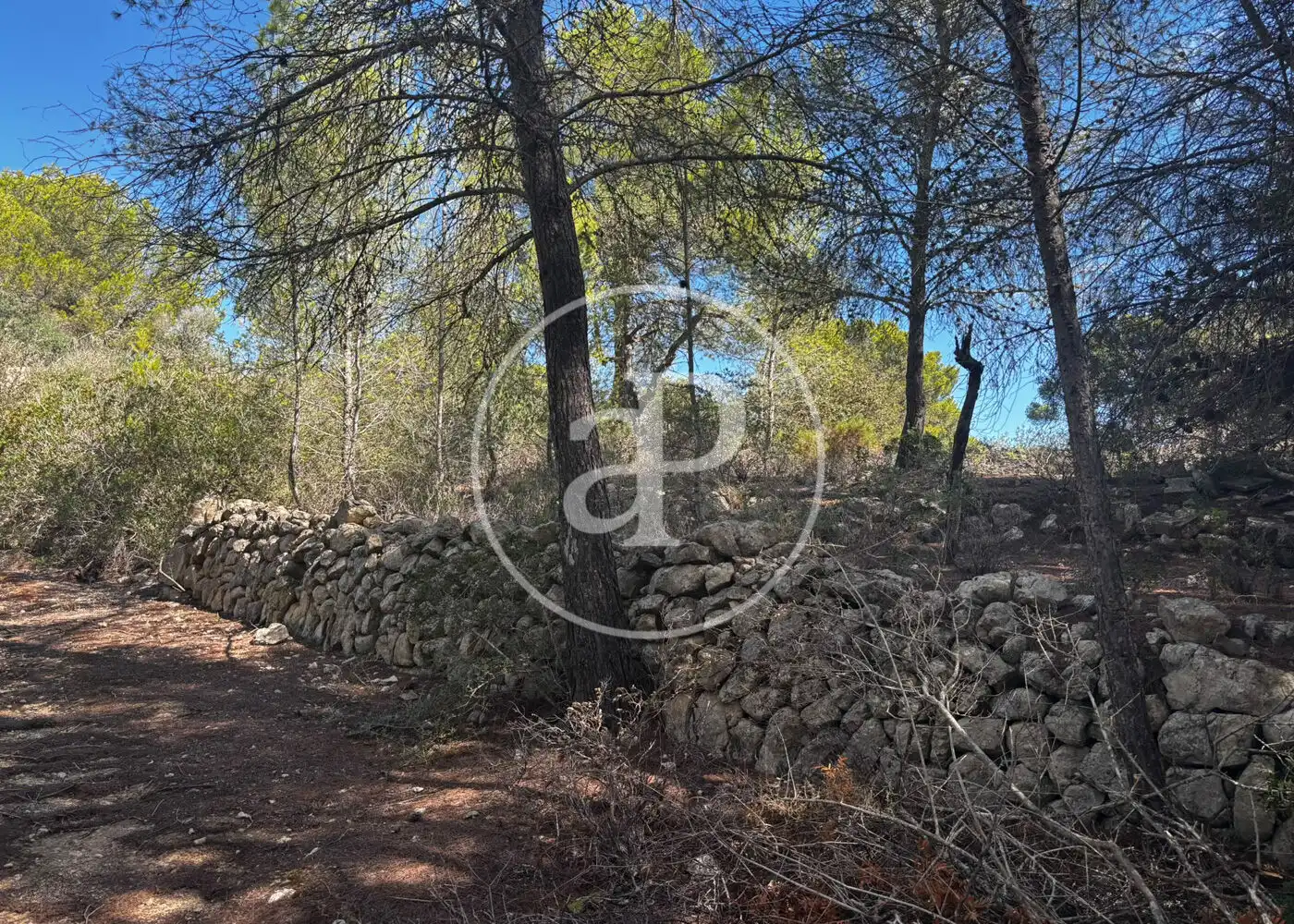 Wohnbaugrundstück zum Verkauf in Llucmajor pueblo, imagen 36
