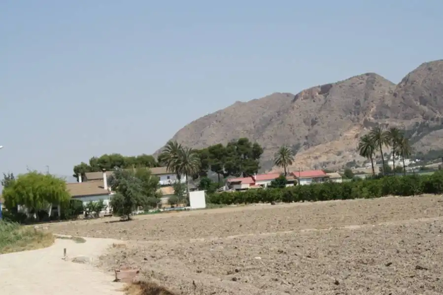 Terreno rústico en venta en Montepinar - La Aparecida - Raiguero, imagen 11