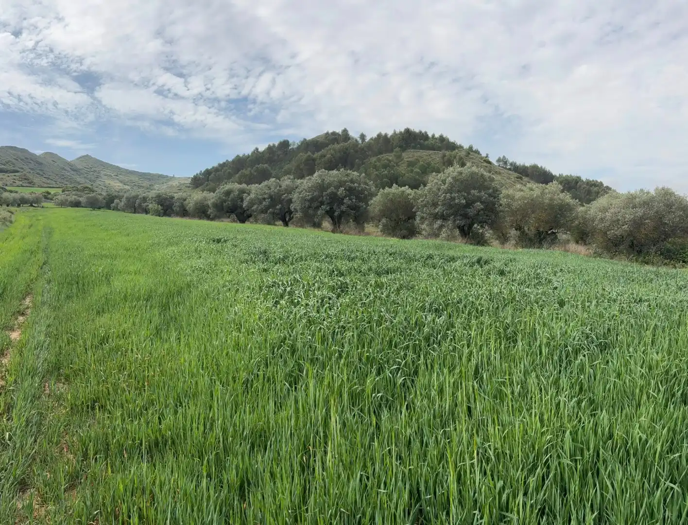 Terreno rústico en venta en Lardero, imagen 8