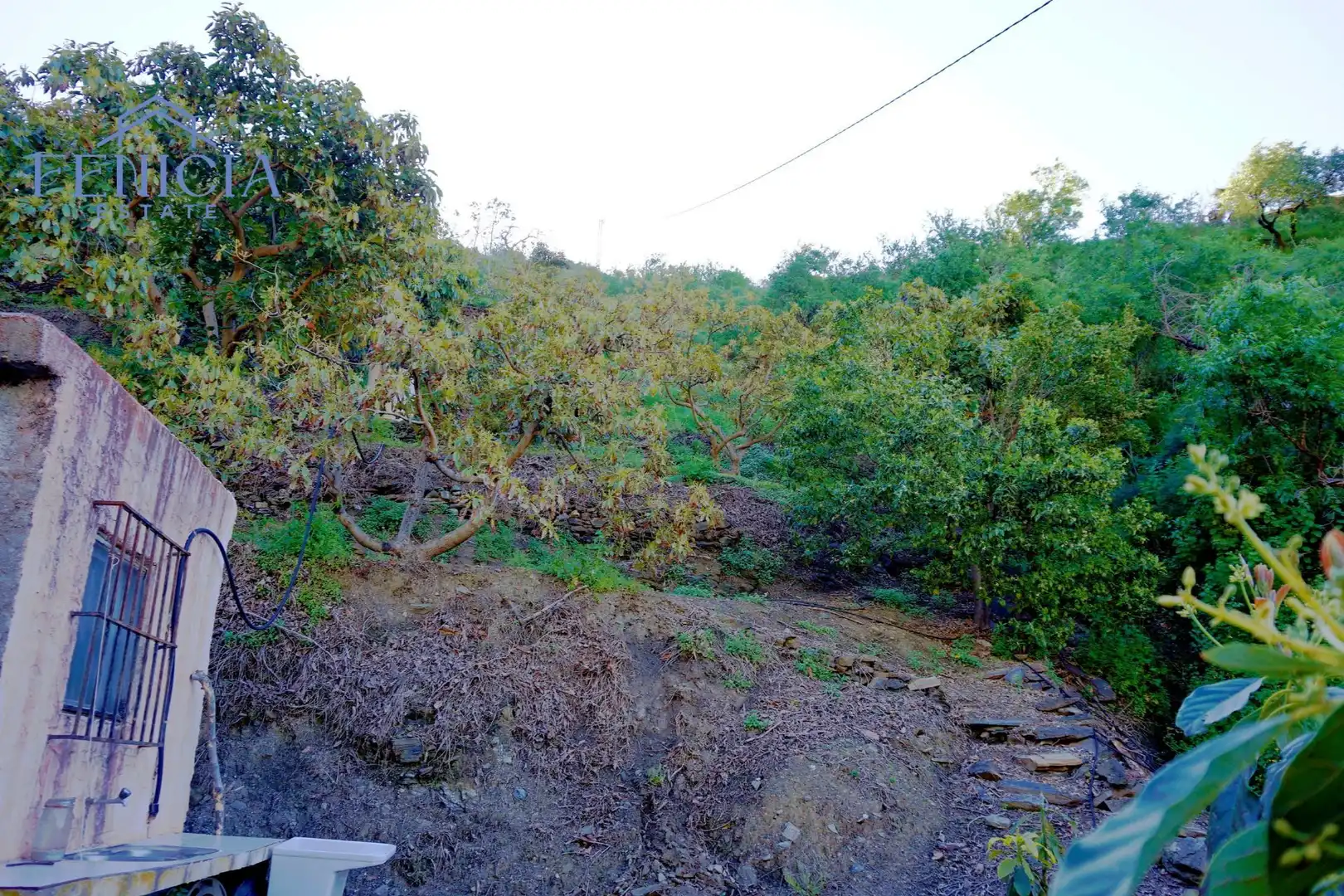 Terreno en venta en Ítrabo