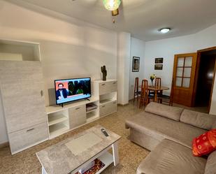 Living room of Flat to rent in El Ejido  with Air Conditioner, Heating and Furnished