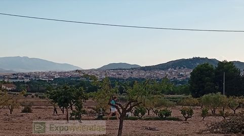 Campo en venta a 5 km de Yecla., immagine 4
