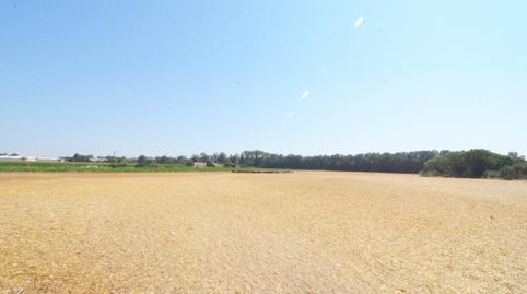 Foto 4 de Terreno en venta en Doñinos de Salamanca, Salamanca