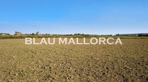 Photo 4 of Country homes for sale in Petra, Illes Balears