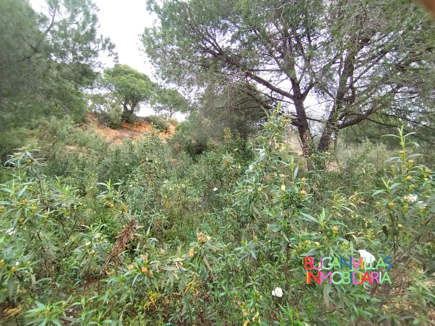 Residential for sale in Isla Cristina
