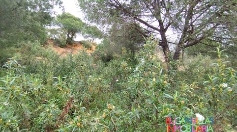 Foto 2 von Residential zum Verkauf in Urbanización las Colinas, 85, Isla Cristina Ciudad, Isla Cristina