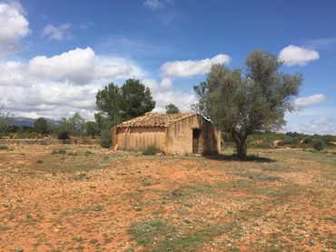 Casa rustica in vendita a Vall d'Alba