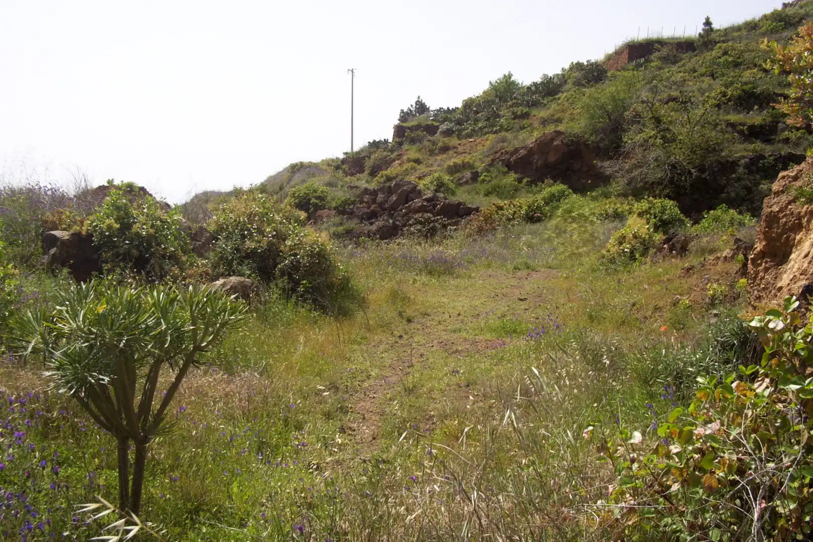 Rural land for sale in Calle Galván, imagen 10