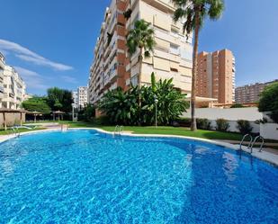 Swimming pool of Flat to rent in Alicante / Alacant  with Air Conditioner, Private garden and Terrace