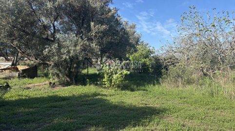 Photo 4 of Land for sale in Roche, Conil de la Frontera