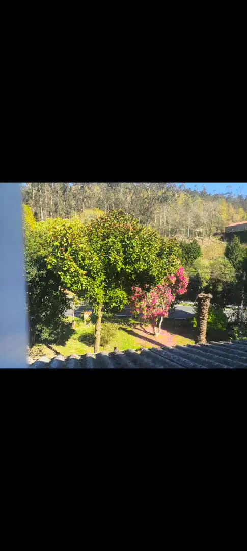 Garden of Houses for sale in Ames  with Heating, Private garden and Furnished