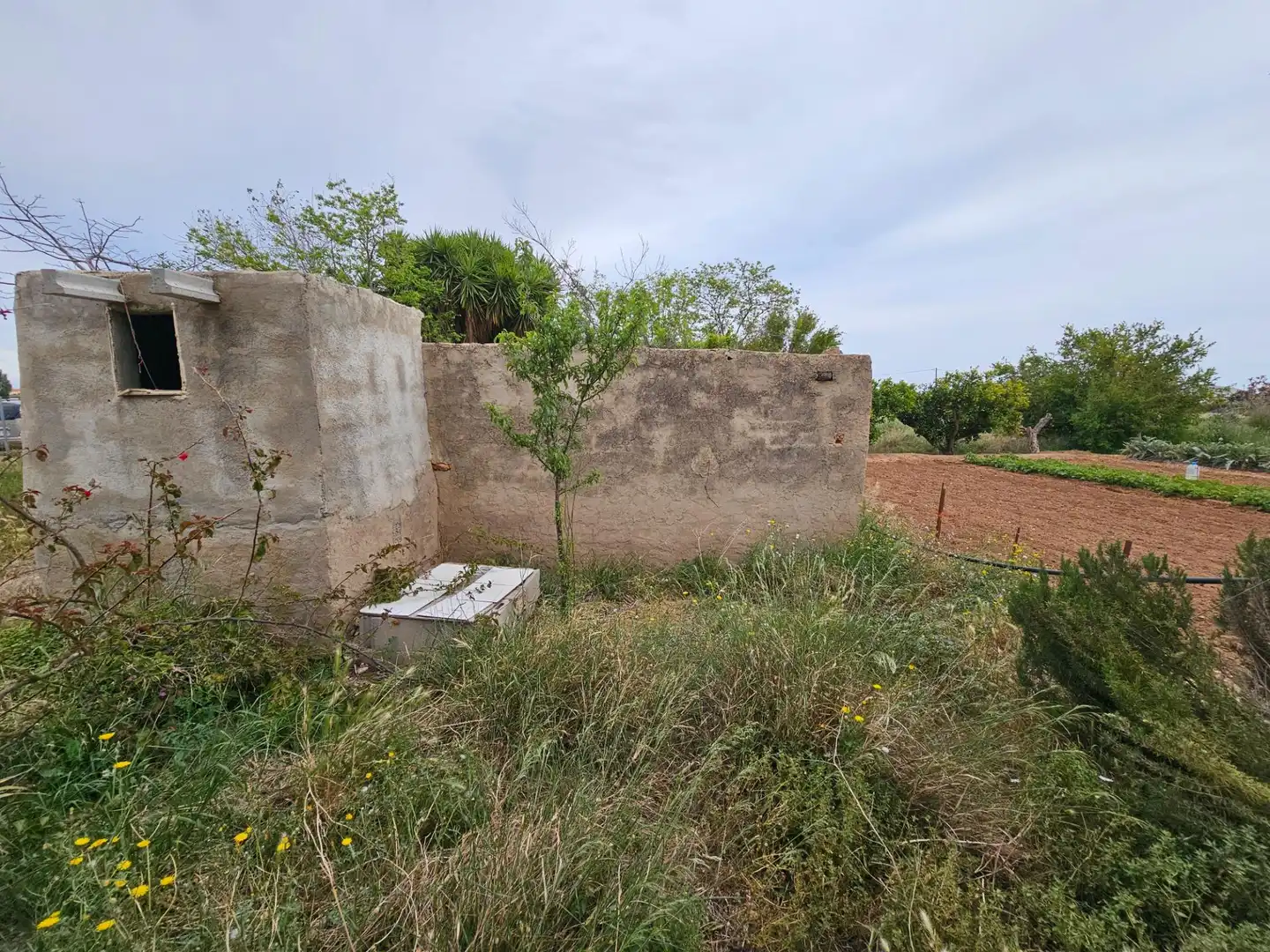 Landhaus zum Verkauf in Eucaliptus- Poble Nou del Delta, imagen 38