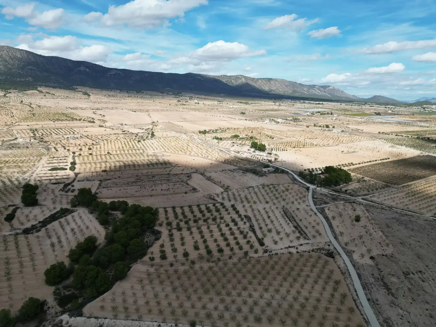 Terreno residencial en venta en El Pinós / Pinoso, imagen 8