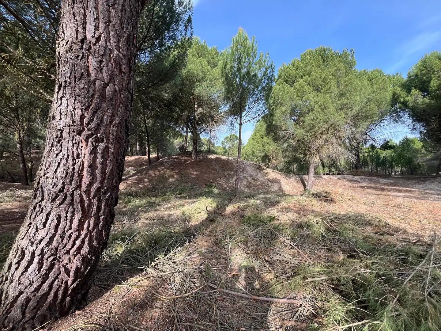 Terreno en venta en Tudela de Duero