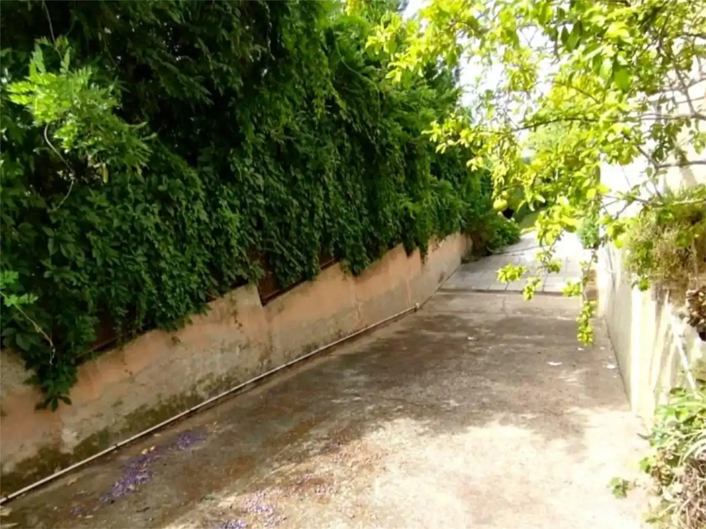 Casa o xalet en venda en Cáceres Capital amb Aire condicionat i Piscina
