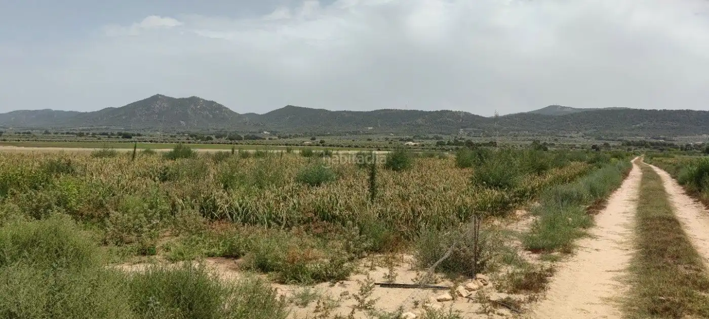 Residential land for sale in Calle Marco 10, imagen 7
