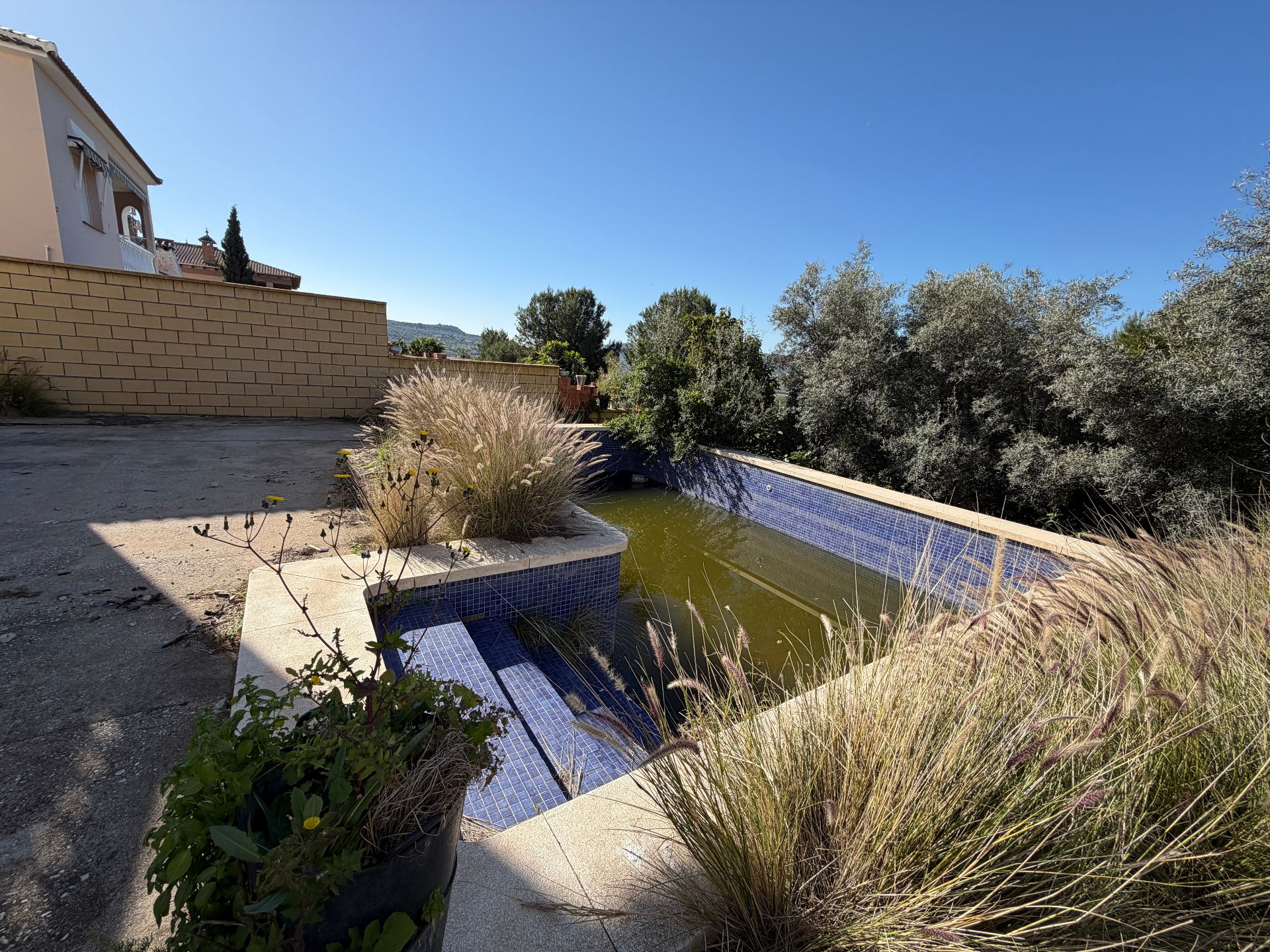 Swimming pool of Houses for sale in Alcaucín  with Terrace and Swimming Pool