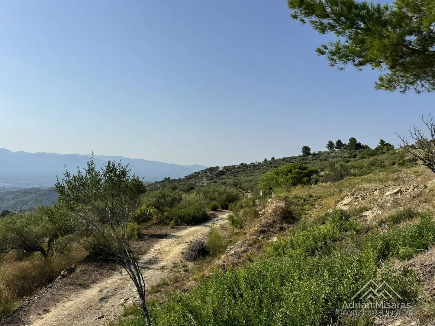 Terreno en venta en Tortosa