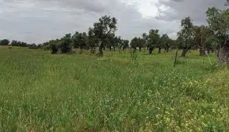 Terreni e lotti in vendita a Pr El Urraco, imagen 13