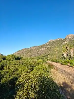 Terrain rustique à vendre à Terrenos MARXUQUERA  ALTA, imagen 13