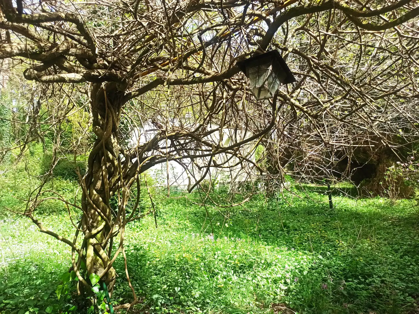 Terreni e lotti in vendita a Parroquias del Este, imagen 15
