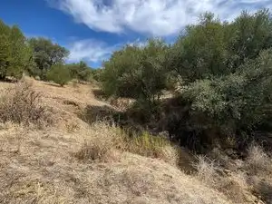 Land for sale in Monda