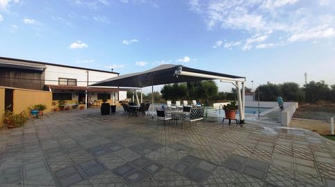 FINCA EN VENTA A 3 MINUTOS DE UTRERA  INVERSIÓN CON RENTABILIDAD INMEDIATA, imatge 2