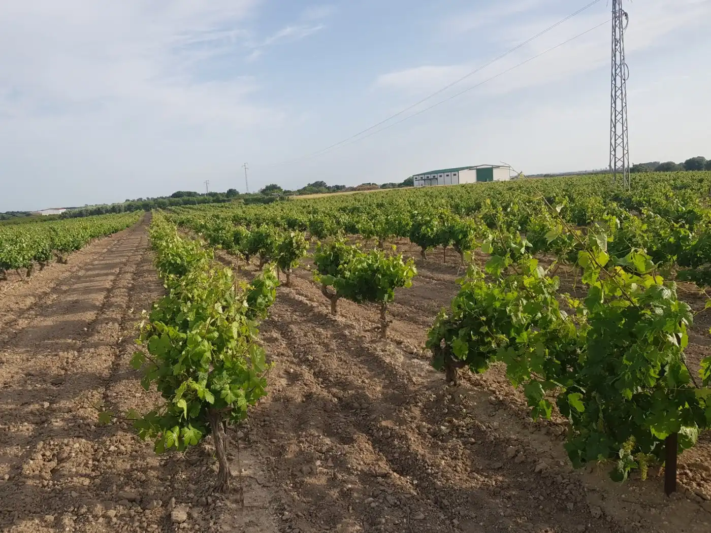 Terrain résidentiel à vendre à LAS CORTAZAS, imagen 6