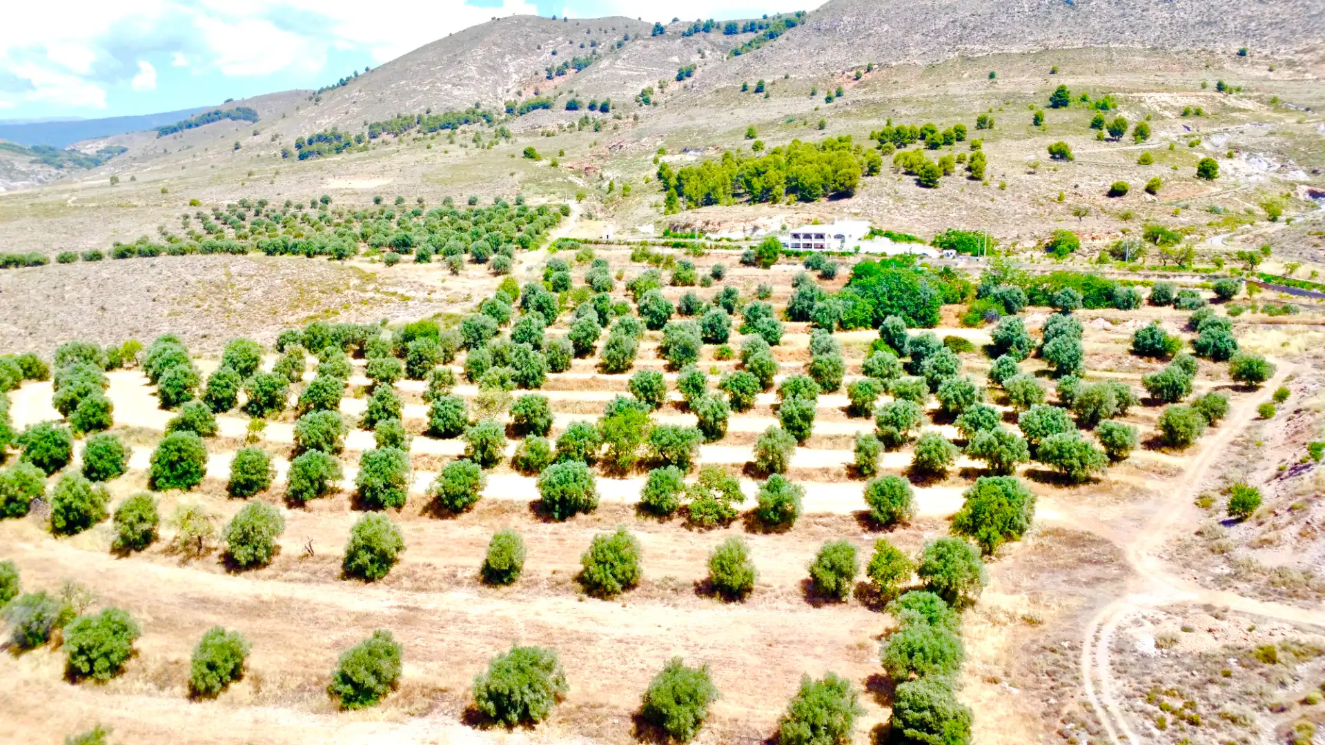 Houses for sale in Laujar de Andarax  with Air Conditioner, Private garden and Terrace