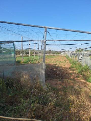 Terreno en Venta en Pedanías Norte