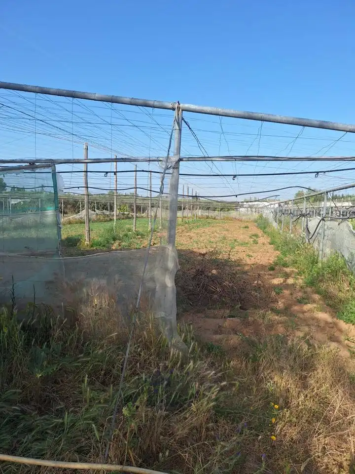 Terreni e lotti in vendita a Pedanías Norte