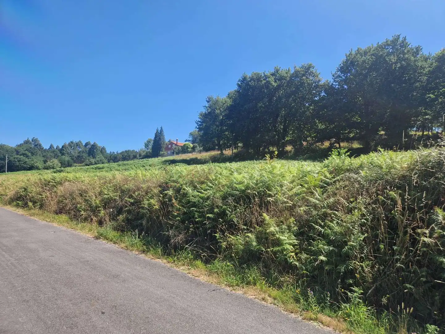 Terrenos y solares en venta en Negreira, imagen 3