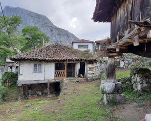 Exterior view of House or chalet for sale in Teverga