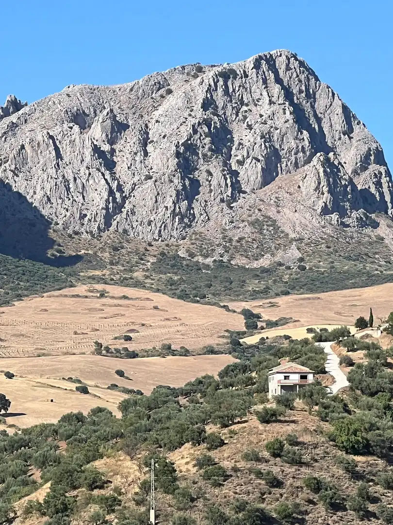 Vista exterior de Finca rústica en venta en Riogordo con Jardín privado y Terraza