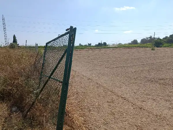 Terrain rustique à vendre à Benejúzar, imagen 10