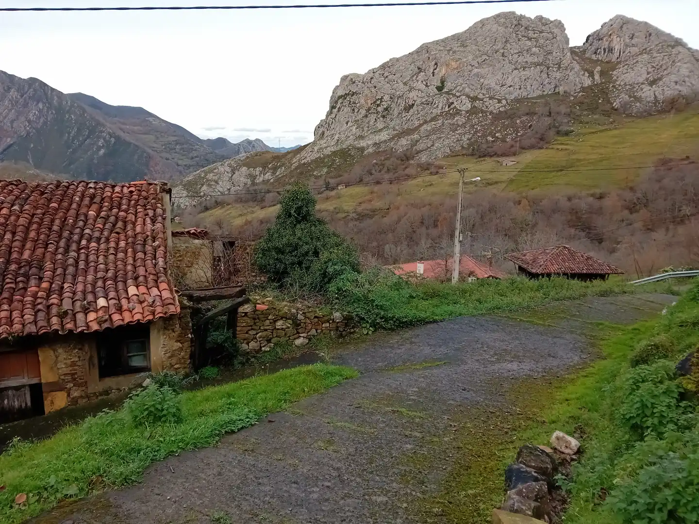 Vista exterior de Finca rústica en venta en Amieva