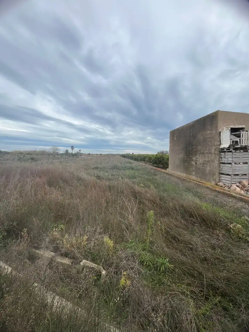 Terrain rustique à vendre à Sagunto ciudad, imagen 3